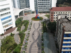 第三军医大学大坪医院--重庆风景园林网