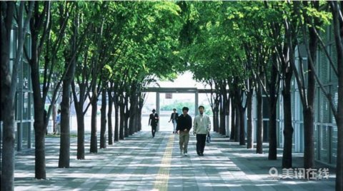 日本崎玉县空中森林广场