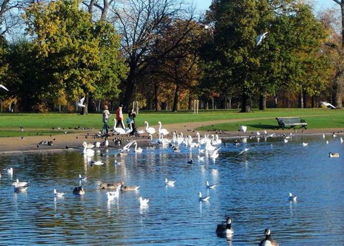 海德公园--重庆风景园林网 重庆市风景园林学会