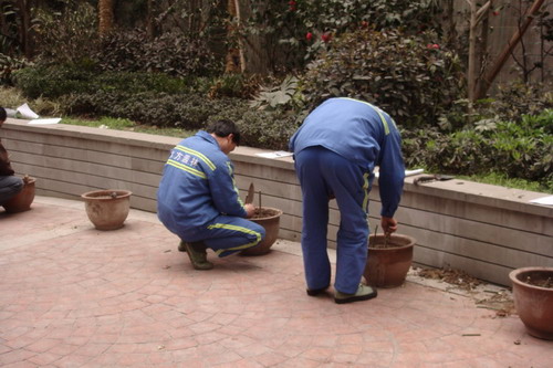 重庆花卉工、绿化工职业资格证考试昨日举行-