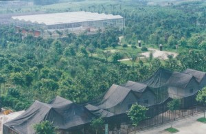 北碚区静观镇花儿为什么这样红--重庆风景园