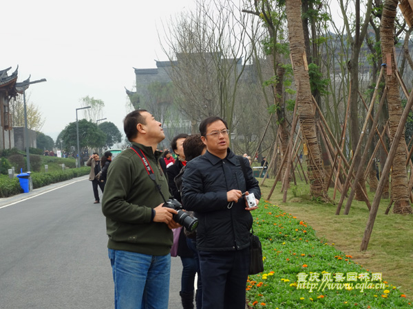 河北农业大学多位专家来渝参观园博园--重庆风