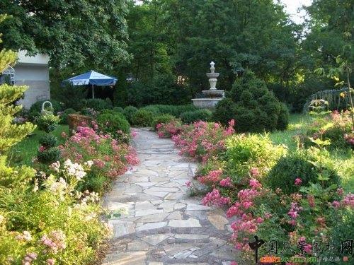 花境--重庆风景园林网 重庆市风景园林学会