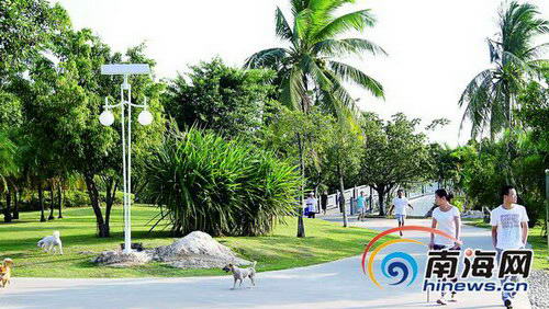 园林绿化养护_人均养护绿化面积指标(2)