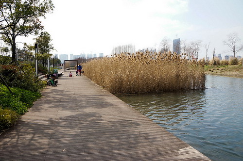 中国上海后滩公园