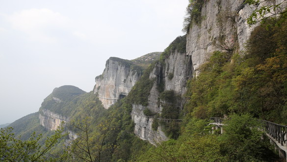 重庆南川金佛山——重庆风景园林网 重庆市风景园林_风景520 金佛山是重庆市最早且唯一拥有世界自然遗产、国家5A级旅游景区、国家级风景名胜区、国家森林公园、国家级自然保护区、国家自然遗产、全国科普教育基地七顶国家级桂冠,以其生物多样性特点和独特的喀斯特地貌特征被列入世界自然遗产名单。同时正在积极申报中国国家地质公园与国家地质地貌自然保护区等荣誉称号。 2014年6月23日,金佛山风景区成功入选世界自然遗产名录;景区位于神秘的北纬30附近,重庆市南川区境内,大娄山脉北部,面积1300平方千米,景区面积441平方千米,最高峰海拨2238米,金佛何崔嵬,飘