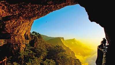 重庆风景园林网 重庆市风景园林学会