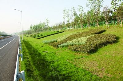 南京:机场高速绿化带打造城墙等地标性景观--重庆风景园林网 重庆市风景园林学会