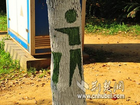 武汉:高校学子传递环保正能量 为大树绘上