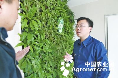 河南:小伙创业种草 仅用4年在新三板挂牌(图)--