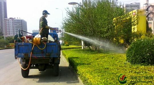 河南:渑池县城管局全力做好城区苗木病虫害防