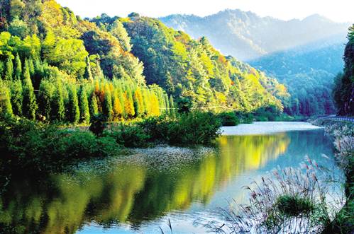 江津区四面山旅游度假区建设全面推进·重庆日报数字报--重庆风景园林网 重庆市风景园林学会