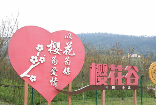 永川:重庆又一赏樱好去处即将进入最佳赏花期