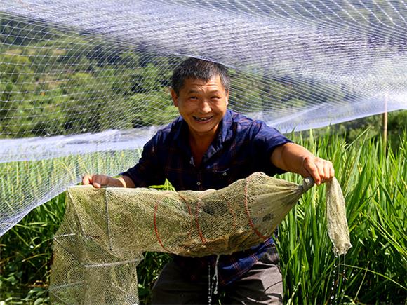 黔江水市乡:四举措助推乡村人才振兴
