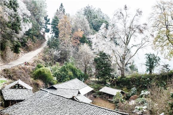 酉阳丁市镇:雨凇中的民族村落似初春