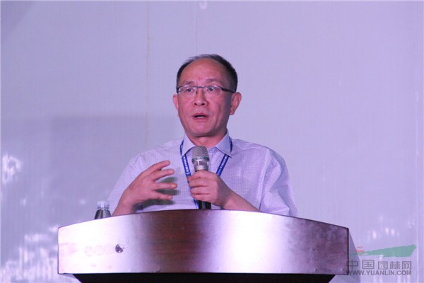 郑勇平:中国绿化观赏苗木产业发展趋势