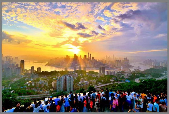 在南山植物园感受自然之美,生态之美,人文科技之美和夜景之美.