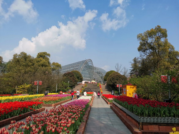 重庆南山植物园之春