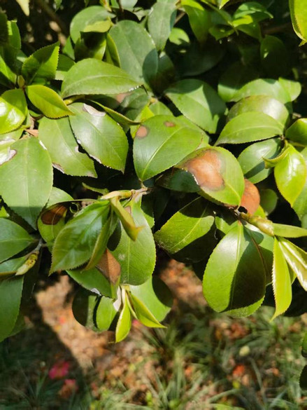 图片 2.jpg 图片 2.jpg