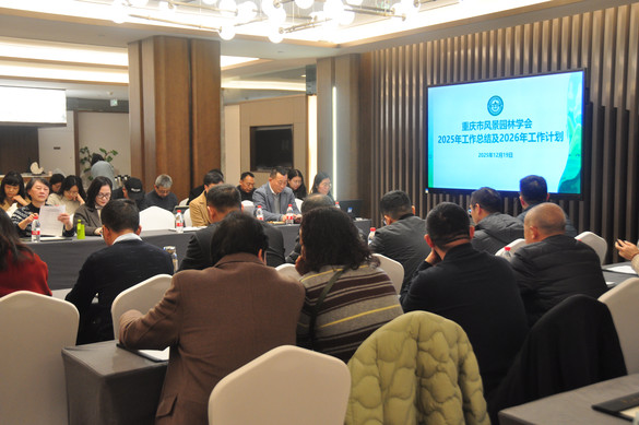 图片 2.jpg 图片 2.jpg